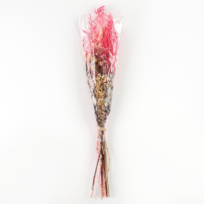 Букет из сухоцветов &laquo;Бал цветов&raquo;, 52 &times; 12 &times; 8 см
