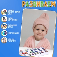 Развивающий бизиборд &laquo;Что где растёт?&raquo;, 3+