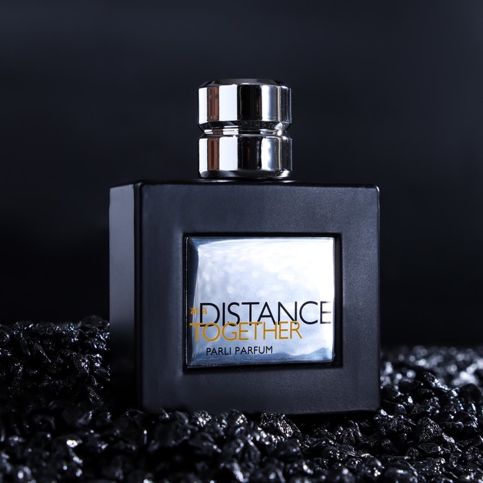 Туалетная вода AT A DISTANCE Туалетная вода AT A DISTANCE "Together" мужская, 80 мл