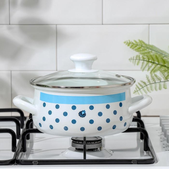 Кастрюля эмалированная Доляна &laquo;Свиристель&raquo;, 1.5 л, индукция, цвет белый