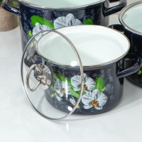 Набор эмалированных кастрюль &laquo;Ванда&raquo;, 3 предмета: 2.4 л, 3.4 л, 5 л, индукция