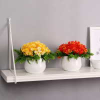 Бонсай в горшке "Гиацинт" 9х12 см, микс Бонсай в горшке "Гиацинт" 9х12 см, микс