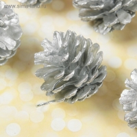 Набор природного декора "Серебряные шишки", набор 6 шт.