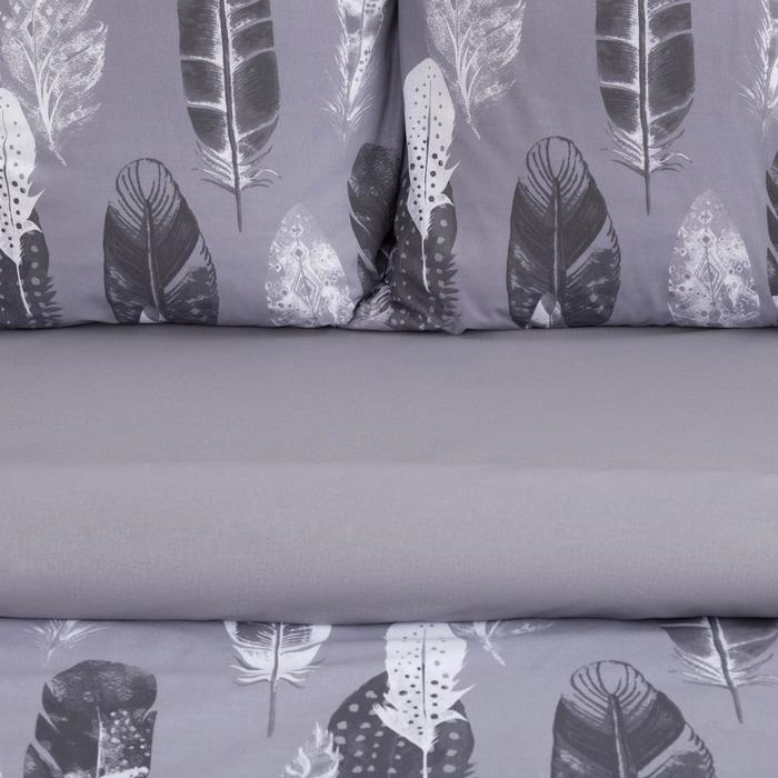 Постельное бельё Этель Евро &laquo;Перья&raquo; (вид 2) 200х217 см, 220х240 см, 70х70 см -2 шт,поплин 125 г/м2