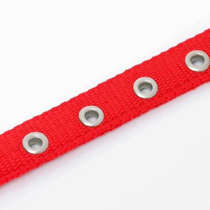 Ошейник Ошейник "Комфорт" комбинированный, 45 х 2 см, ОШ 30-39 см, красный