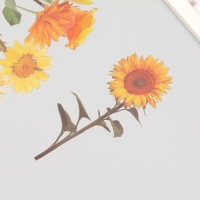 Наклейки пластик "Цветы и цитаты. Желтые" набор 12 шт 8,5х21,5х0,2 см Наклейки пластик "Цветы и цитаты. Желтые" набор 12 шт 8,5х21,5х0,2 см