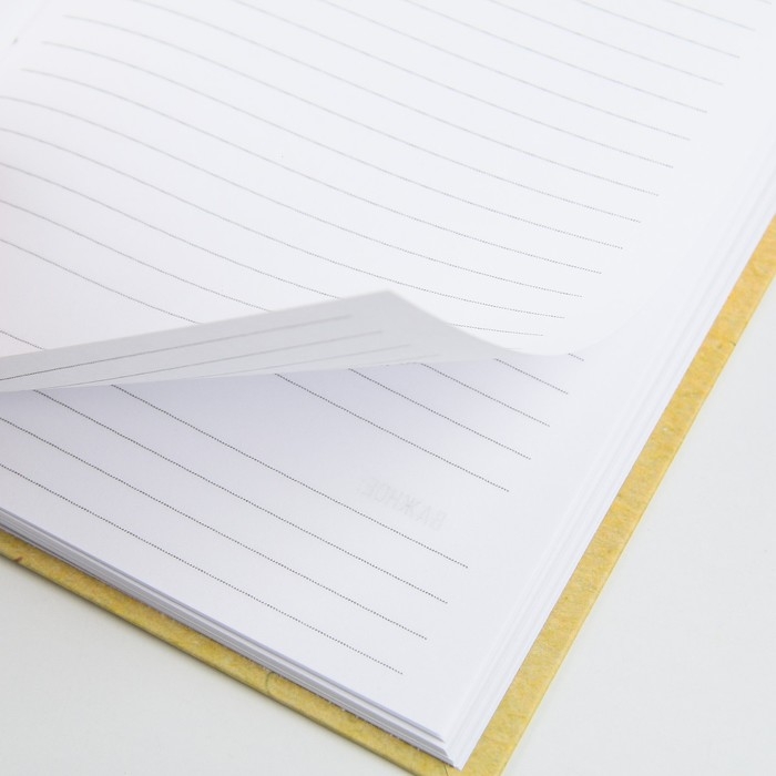 Ежедневник «Учителю: Золотого учителя», формат А5, 80 листов, МИКС Ежедневник «Учителю: Золотого учителя», формат А5, 80 листов, МИКС