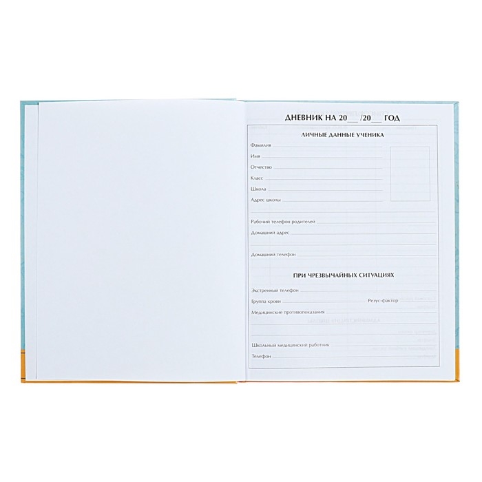 Дневник для 5-11 классов "Снова в школу. Герб", твёрдая обложка, глянцевая ламинация, 48 листов