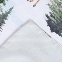 Постельное бельё &laquo;Этель&raquo; 2 сп &laquo;Однажды в лесу&raquo; 175х215 см, 200х220 см,70х70 см -2 шт, поплин