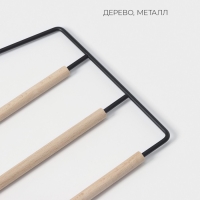 Плечики - вешалка для брюк и юбок LaDо́m Laconique, многоуровневая, 37×31,5×1,1 см, цвет чёрный Плечики - вешалка для брюк и юбок LaDо́m Laconique, многоуровневая, 37×31,5×1,1 см, цвет чёрный