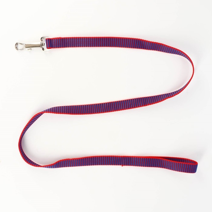 Комплект амуниции рельефный, 2 см, поводок 120 см, красно-синий