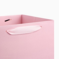 Переноска для цветов с вкладышем для фиксации, «Подарок для тебя», розовый, 35 х 20 х 20 см Переноска для цветов с вкладышем для фиксации, «Подарок для тебя», розовый, 35 х 20 х 20 см