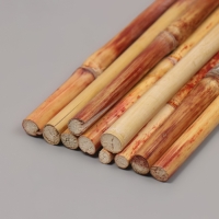 Стебли бамбука декоративные, 10 шт, длина 20 см