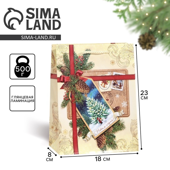 Пакет подарочный новогодний ламинированный &laquo;С Новым годом!&raquo;, MS 18 х 23 х 8 см