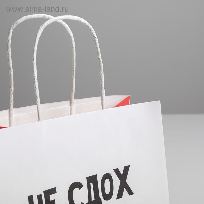 Упаковка, пакет подарочный, &laquo;И ладно&raquo;, 22 х 22 х 11 см