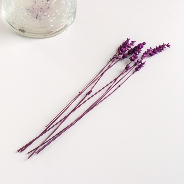 Набор сухоцветов Набор сухоцветов "Лаванда" банч длина 30 (+/- 6 см), сиреневый