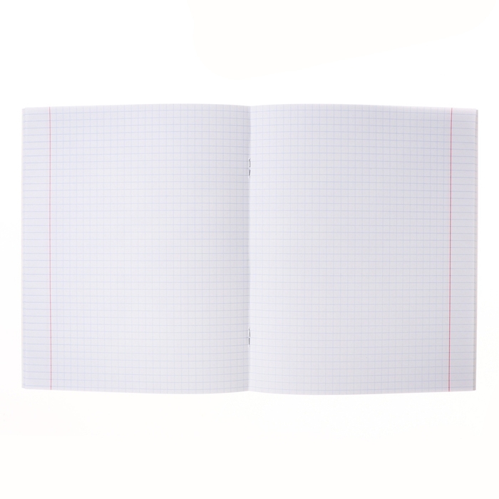 Тетрадь 40 листов в клетку "Девочка-кошка", обложка мелованный картон, блок офсет 65г/м2, МИКС