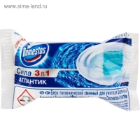 Блок гигиенический для унитаза Domestos "Атлантик", сила 3 в 1, 40 г Блок гигиенический для унитаза Domestos "Атлантик", сила 3 в 1, 40 г