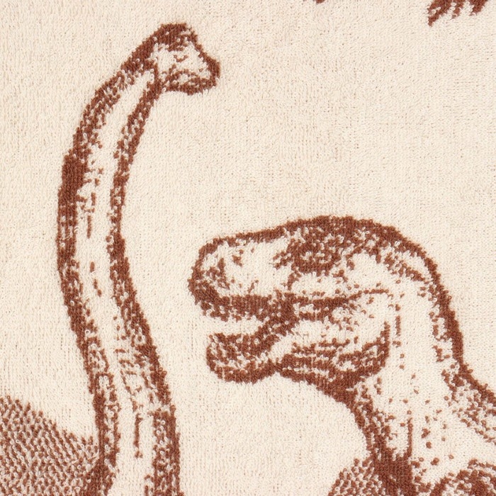 Полотенце махровое Этель &laquo;Мезозойская эра&raquo;, 50х90 см, 100% хлопок, 420 г/м2