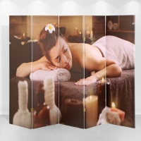 Ширма "Массаж", 250 х 160 см Ширма "Массаж", 250 х 160 см