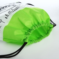 Мешок для обуви под раскраску &laquo;Динозавр&raquo; 34х40 см, спанбонд