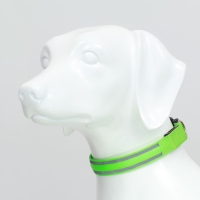 Ошейник с подсветкой Двойная полоса размер S, ОШ 35-43 х 2,5 см, 3 режима свечения зелёный