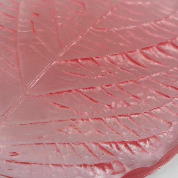 Молд пластик Молд пластик "Основной лист большой" 13,5х10,5 см МИКС