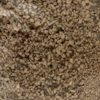 Наполнитель минеральный впитывающий "Пижон" цеолит для короткошерстных фр 1-3 мм 3 кг впит. 5 л Наполнитель минеральный впитывающий "Пижон" цеолит для короткошерстных фр 1-3 мм 3 кг впит. 5 л