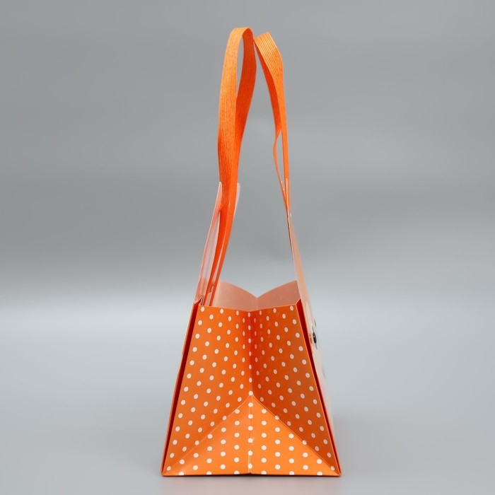 Переноски для цветов «Дружок», 20 × 12 × 12 см Переноски для цветов «Дружок», 20 × 12 × 12 см