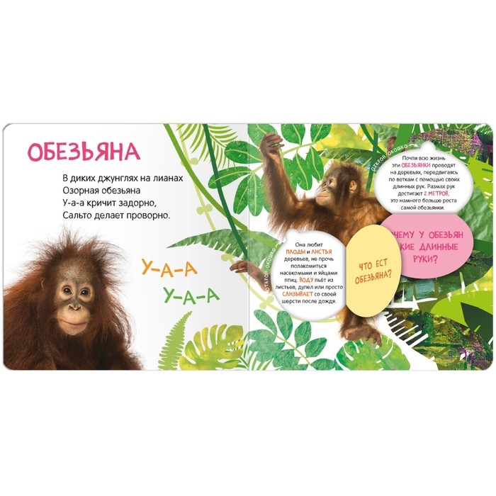 Книжки с окошками &laquo;Кто где живёт?&raquo;