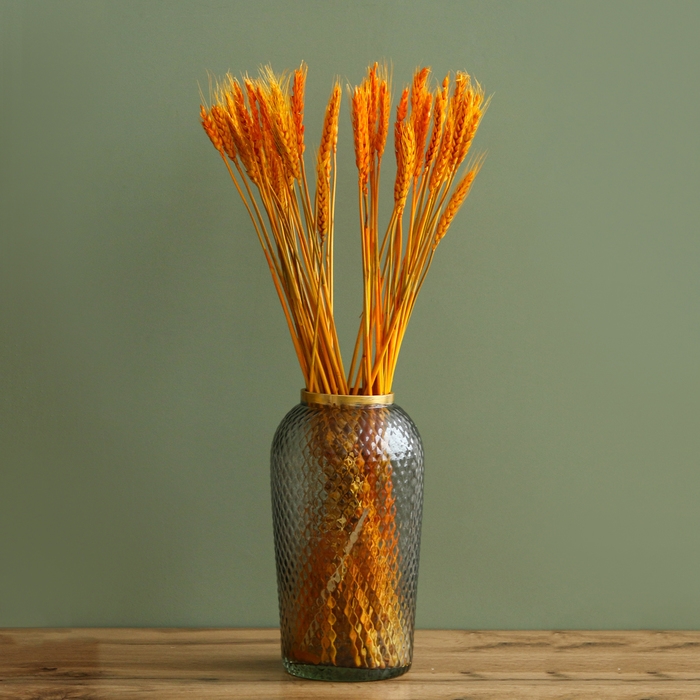 Сухой колос пшеницы, набор 50 шт., цвет жёлтый Сухой колос пшеницы, набор 50 шт., цвет жёлтый