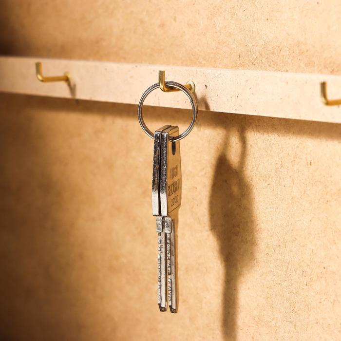 Ключница "Исаакиевский собор" 26х31 см венге