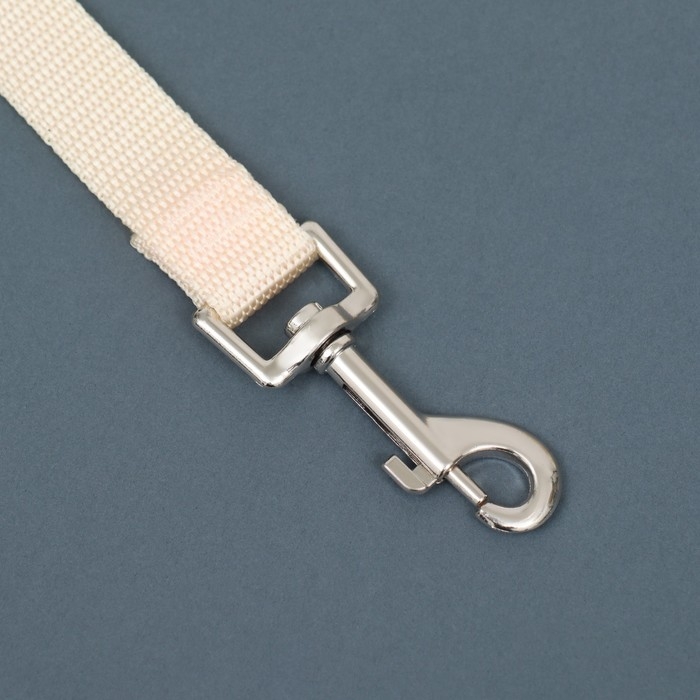 Поводок 2 м х 2 см, бежевый Поводок 2 м х 2 см, бежевый