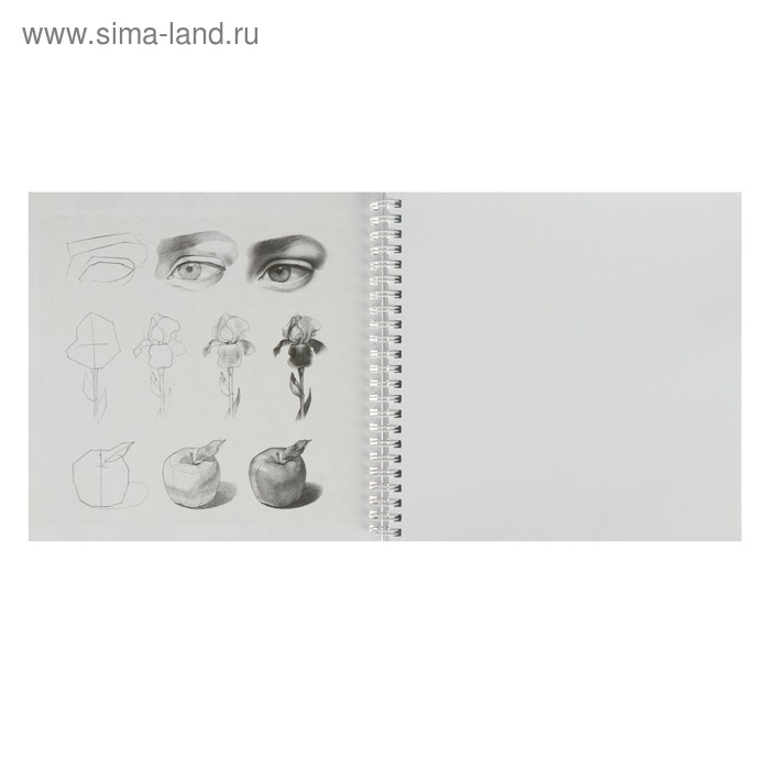 Тетрадь-скетчбук 210 x 210 мм, 60 листов на гребне "Тропические листья", твёрдая обложка, блок 120 г/м&sup2;, с пошаговыми эскизами