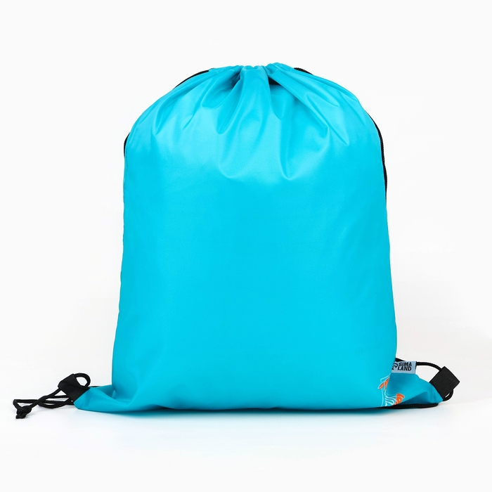 Мешок для обуви, болоньевый материал &laquo;1 сентября&raquo; цвет голубой, 30 х 40 см