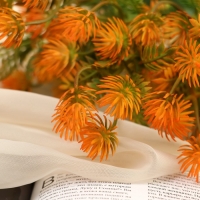 Букет "Муррайя" 26 см, микс Букет "Муррайя" 26 см, микс