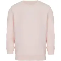 Свитшот детский Columbia Kids, розовый, на рост 142-152