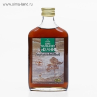 Сироп &laquo;Дыхание. Сосновый мёд&raquo;, 250 мл