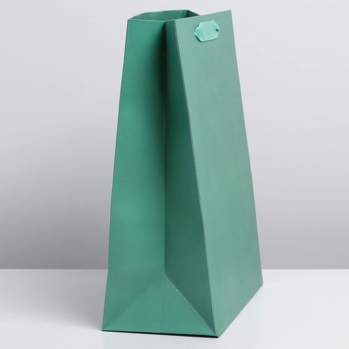 Пакет подарочный ламинированный, упаковка, &laquo;Тиффани&raquo;, ML 23 х 27 х 11.5 см