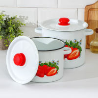 Набор кастрюль &laquo;Клубника садовая&raquo;, 2 предмета: 3,5 л, 5,5 л, индукция