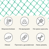 Сетка садовая, 1 &times; 20 м, ячейка квадрат 50 &times; 50 мм, пластиковая, зелёная, Greengo