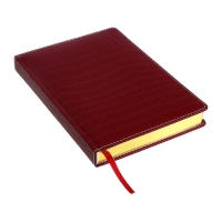 Ежедневник датированный 2024 A5 176 листов, deVENTE.Wild, твёрдая обложка из искусственной кожи, золотой срез, ляссе, кремовый блок 70 г/м2, бордовый Ежедневник датированный 2024 A5 176 листов, deVENTE.Wild, твёрдая обложка из искусственной кожи, золотой срез, ляссе, кремовый блок 70 г/м2, бордовый