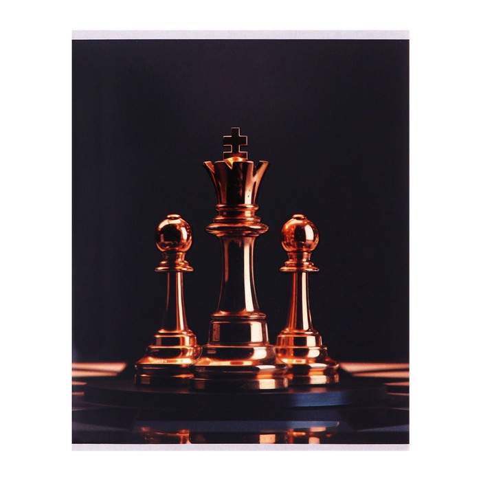 Комплект тетрадей из 4 штук, 96 листов в клетку Calligrata Комплект тетрадей из 4 штук, 96 листов в клетку Calligrata "Шахматы", обложка мелованный картон, матовая ламинация + выборочный УФ-лак, блок офсет