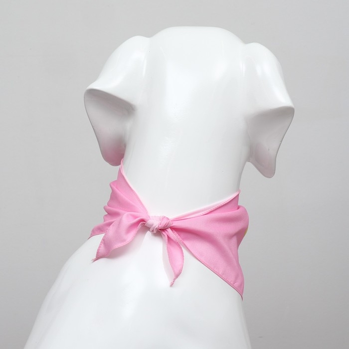 Платок для животных Платок для животных "С днём рождения", 15 х 12 х 1 см, розовый