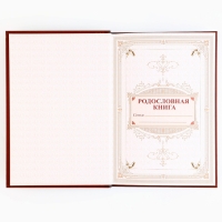 Родословная книга с новогодним пояском &laquo;Новый год: Каждый день&raquo;, 16,5 х 24 см.