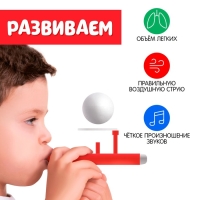 Аэробол «Матрёшка» Аэробол «Матрёшка»