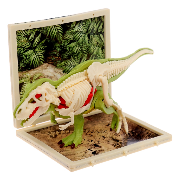 Набор для опытов «Диномир: Тираннозавр», строение тела динозавра, 33 детали Набор для опытов «Диномир: Тираннозавр», строение тела динозавра, 33 детали