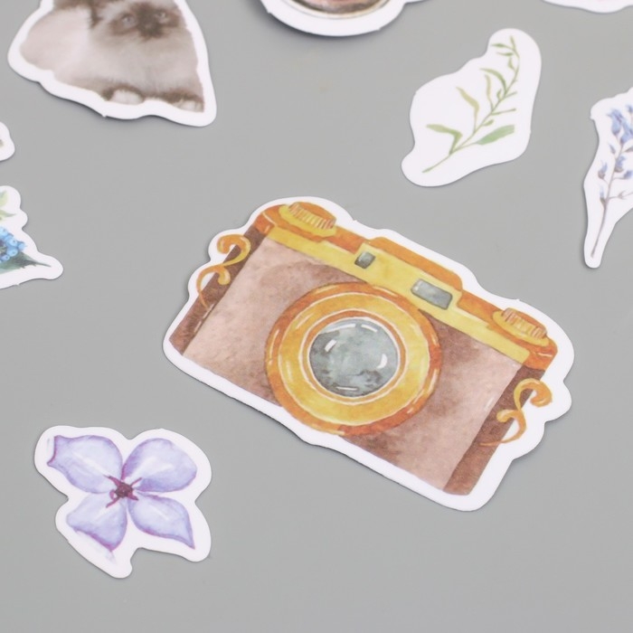 Наклейки для творчества Наклейки для творчества "Коты, цветы и фото" 3,5х5 см набор 40 шт 9,4х8,4х0,5 см