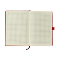 Ежедневник недатированный А5, 100 листов в клетку, на резинке, обложка кожзам, МИКС