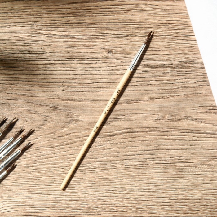 Кисть для рисования набор 12 шт. белка &laquo;Живу ради искусства&raquo; № 1, 2, 3, 4, 5, 6, 7, 8, 9, 10, 11, 12